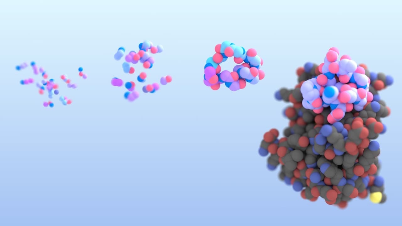 Cyclic peptide binder model shown against a protein target.